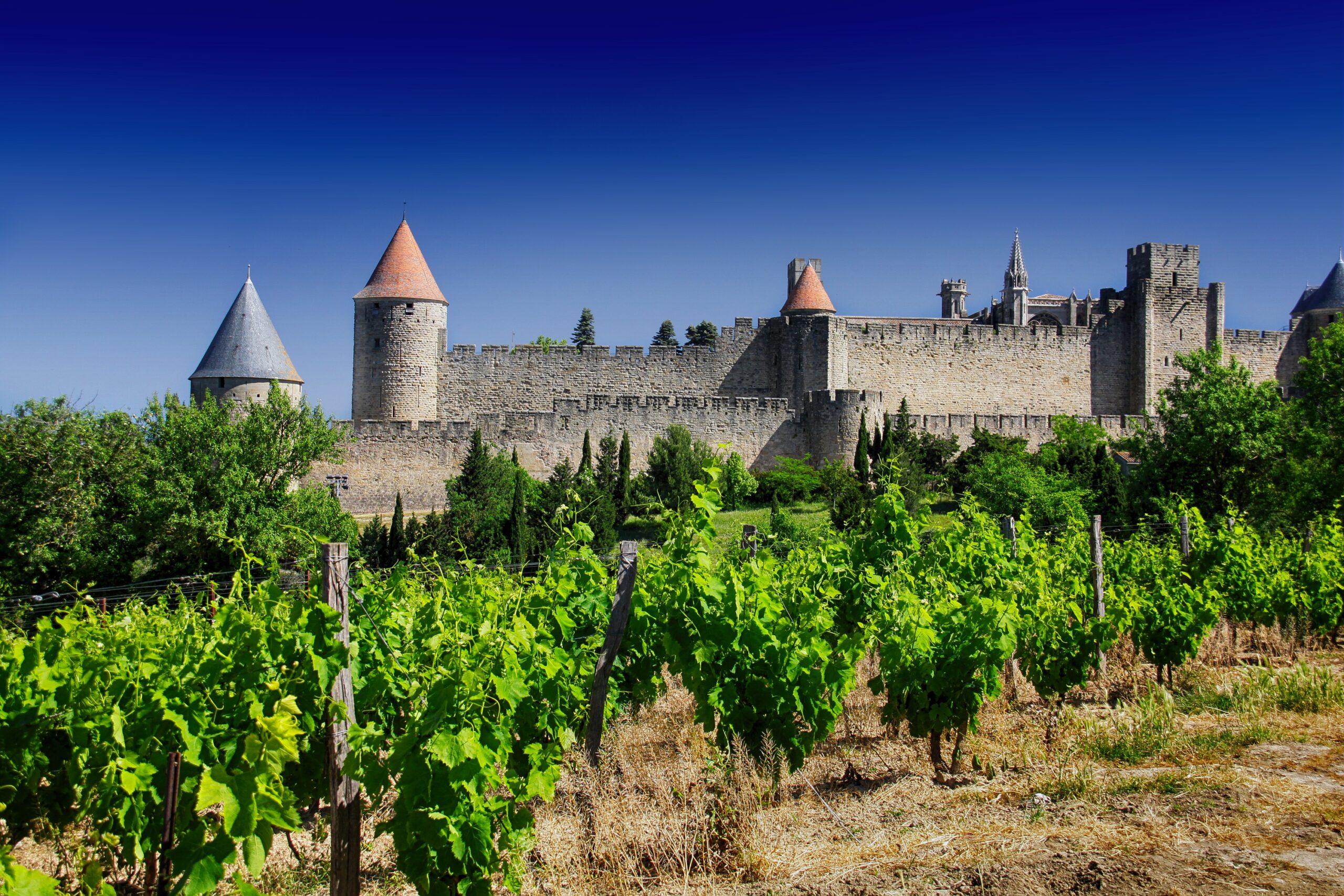 Visite en famille du château Comtal de Carcassonne dans l'Aude