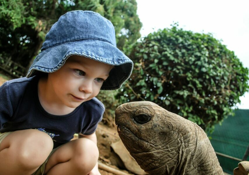 Visite Vallée des tortues en famille