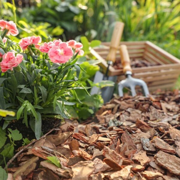 paillis pour entretenir le jardin de votre gîte